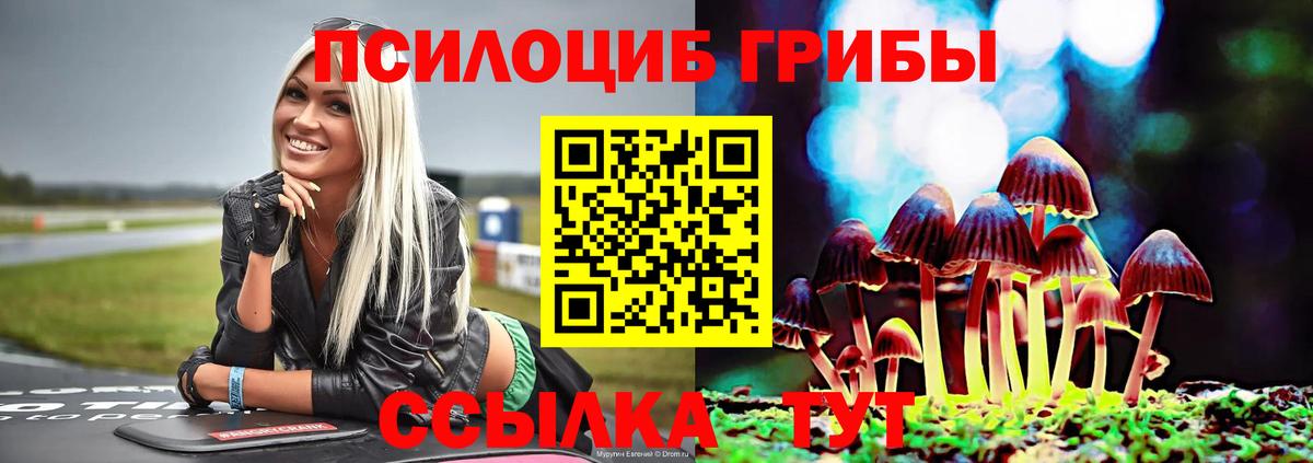 Приморско-Ахтарск  Псилоцибиновые грибы Psilocybine cubensis  Вход с VPN 