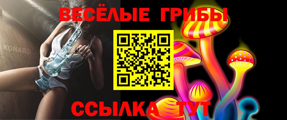 Галлюциногенные грибы мухоморы Приморско-Ахтарск